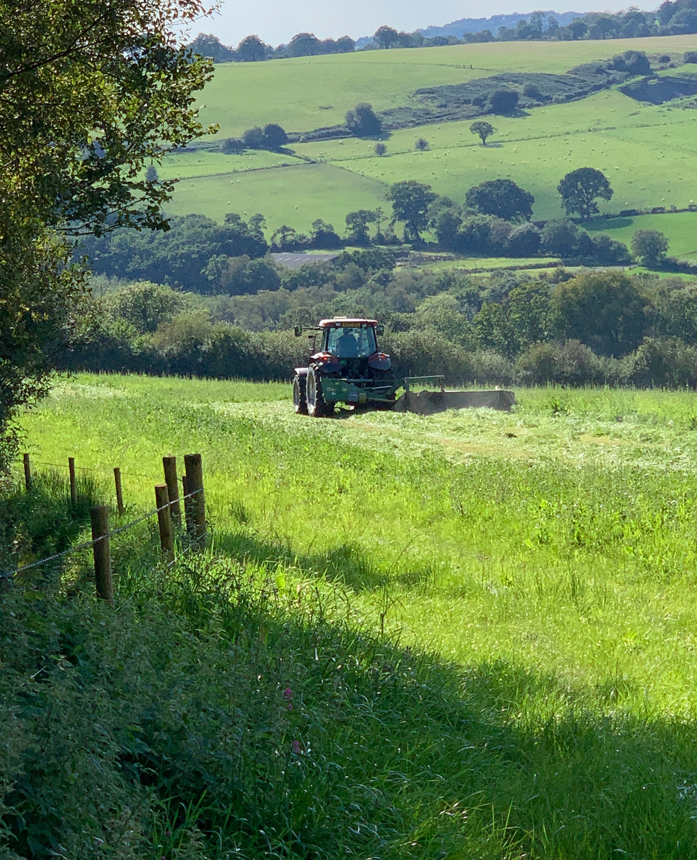 Holden Farm Dairy tractor on field