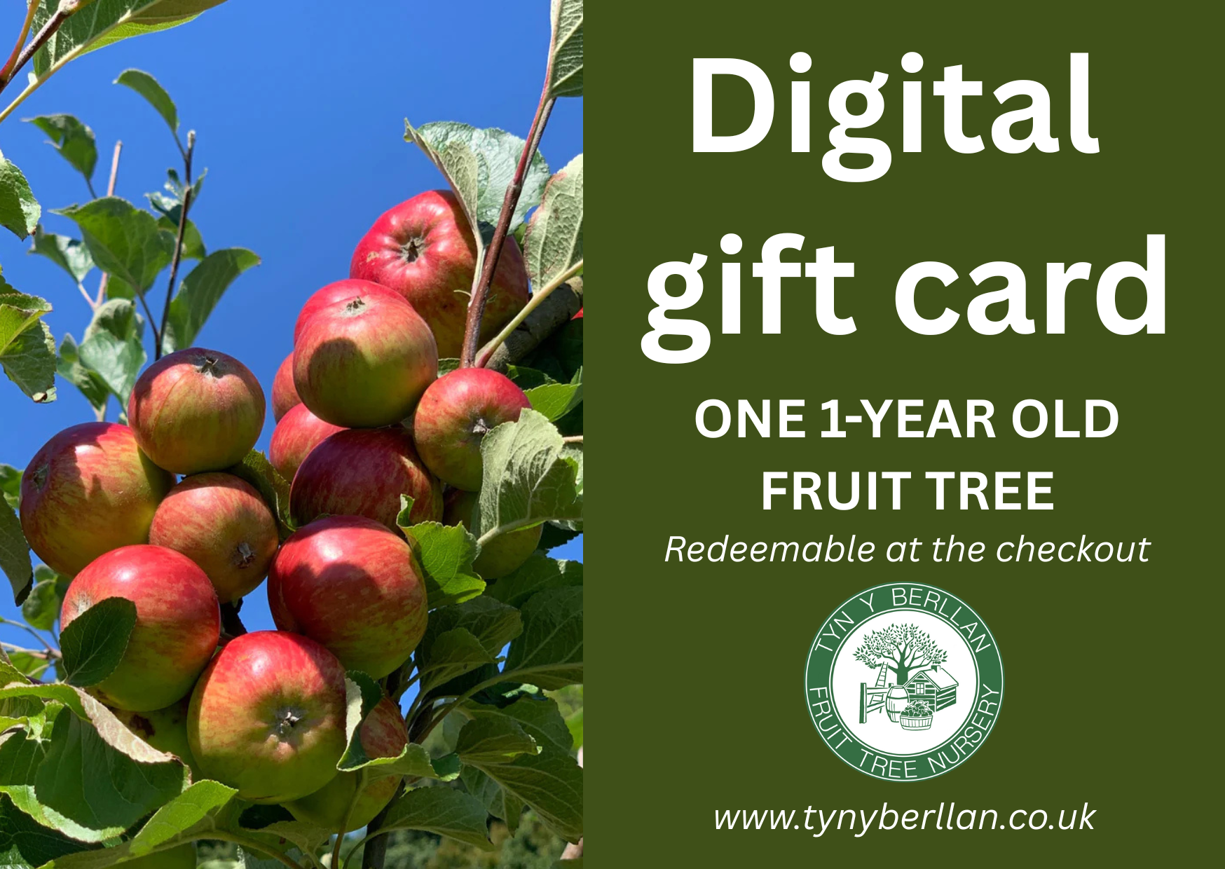 Gift Cards