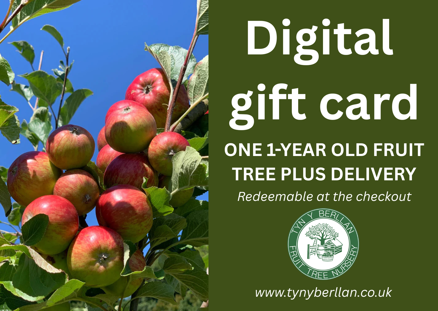 Gift Cards