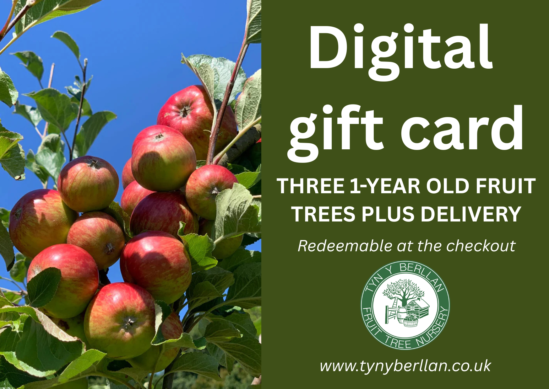 Gift Cards