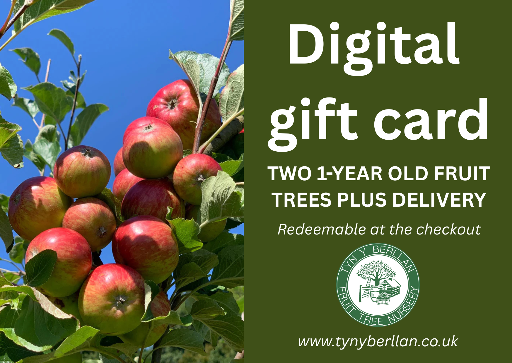 Gift Cards