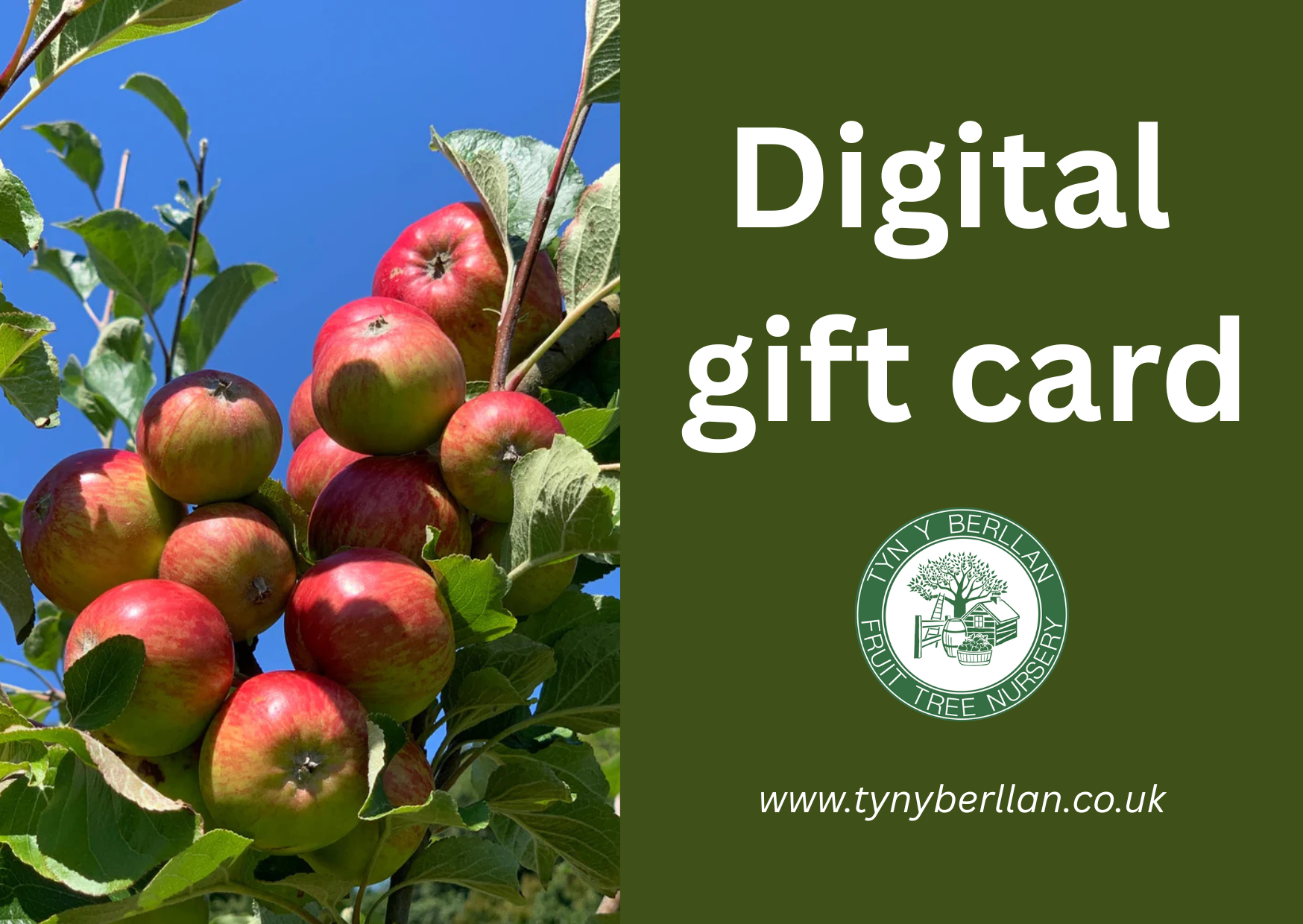 Gift Cards