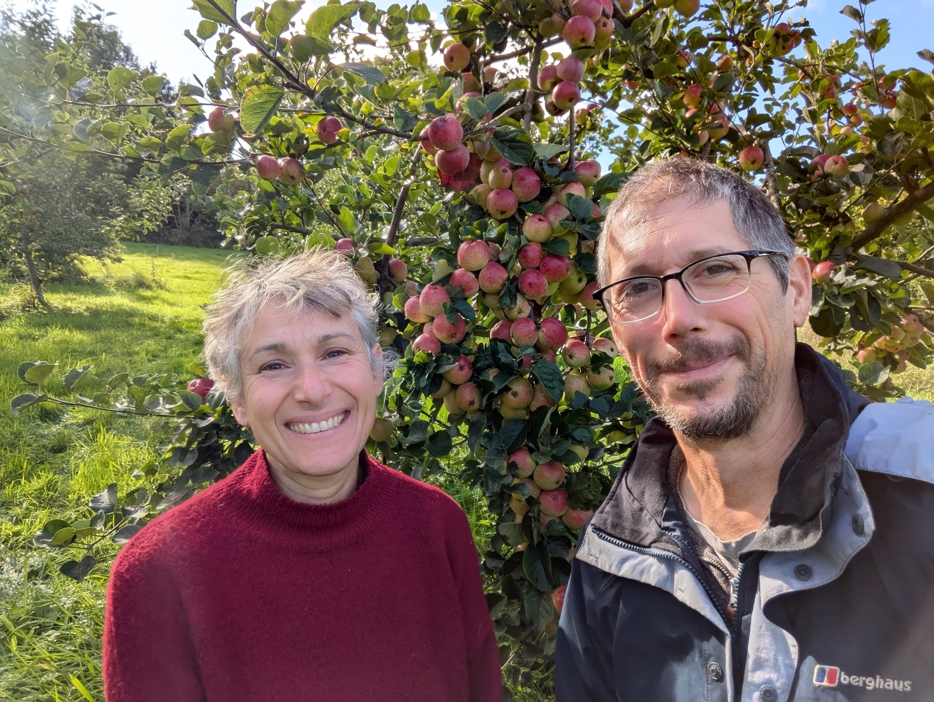 Crab apple trees collection